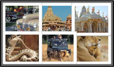 Gir Wildlife Tour Gujarat